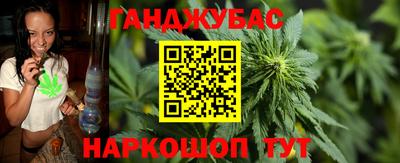 mdpv Новодвинск