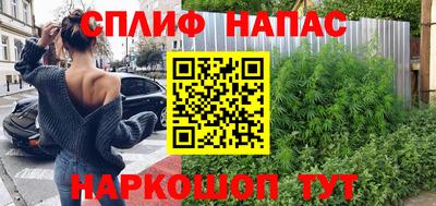 ECSTASY Новозыбков