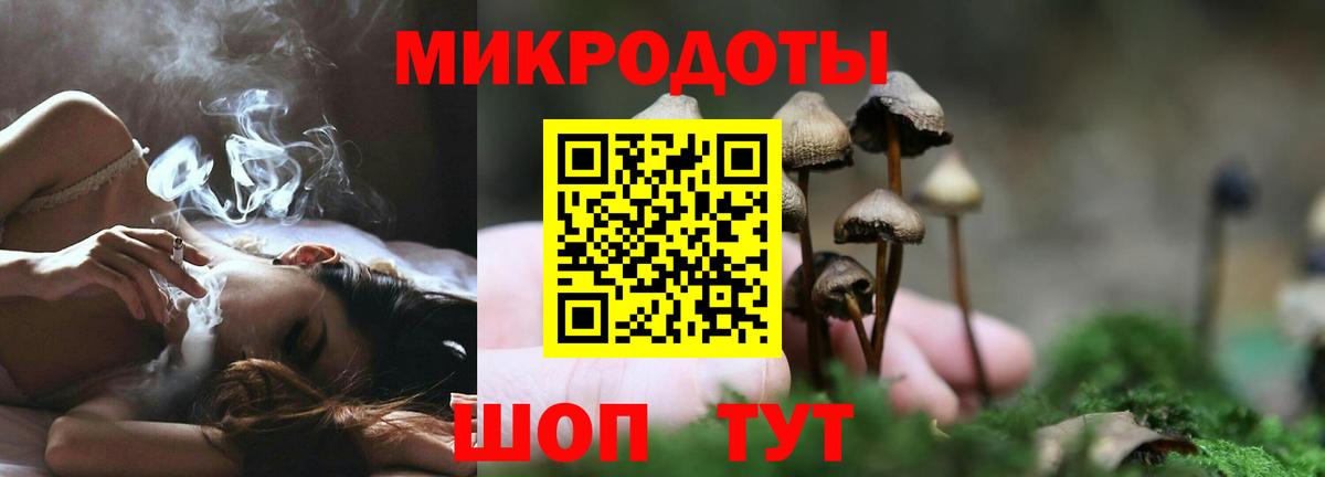 Псилоцибиновые грибы мицелий Юрга