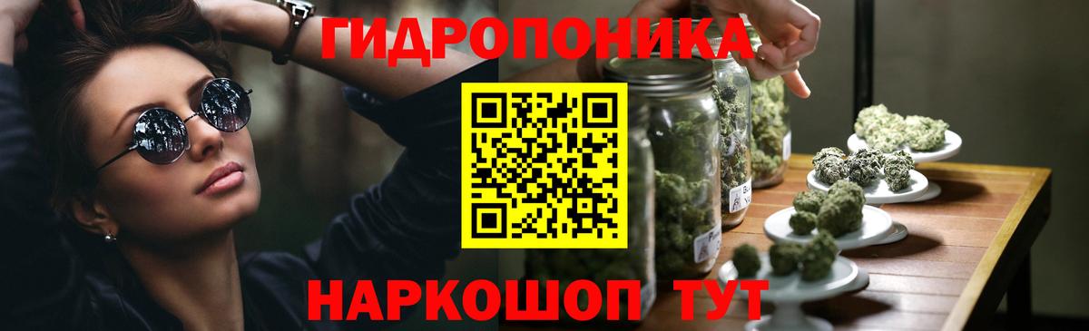 Бошки Шишки план  Конопля ГИДРОПОН  Вход с VPN  Юрга  Бошки Шишки индика 